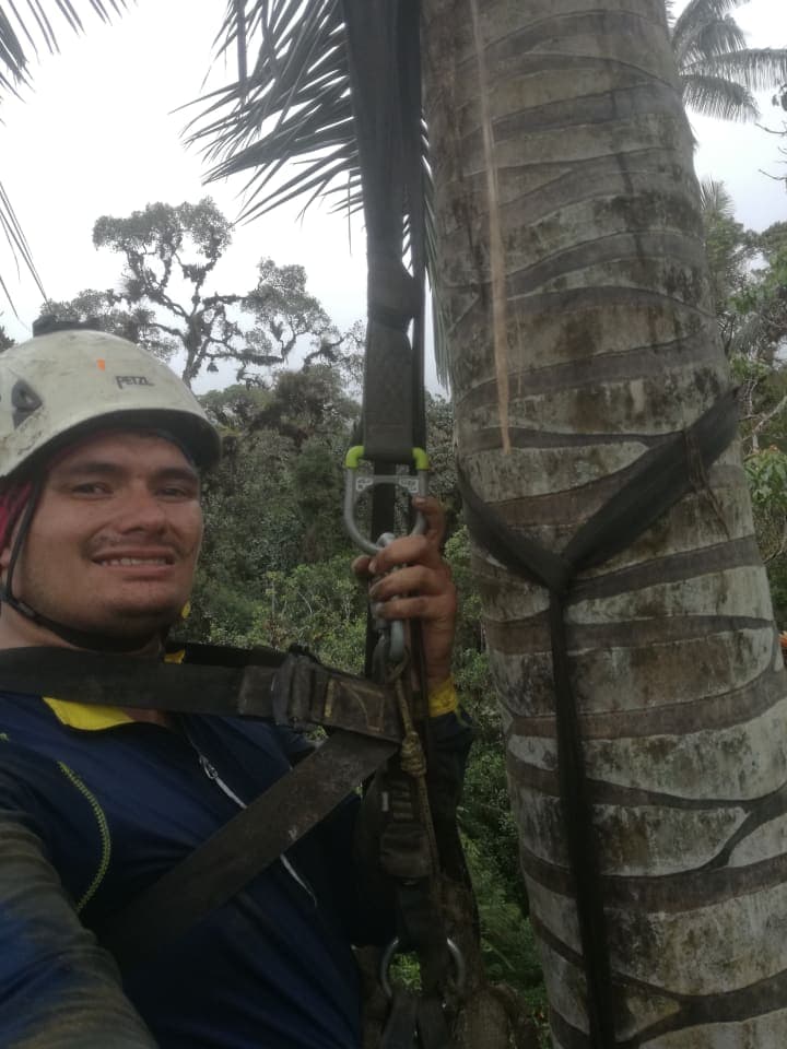 Kevin Galeano Galeria.